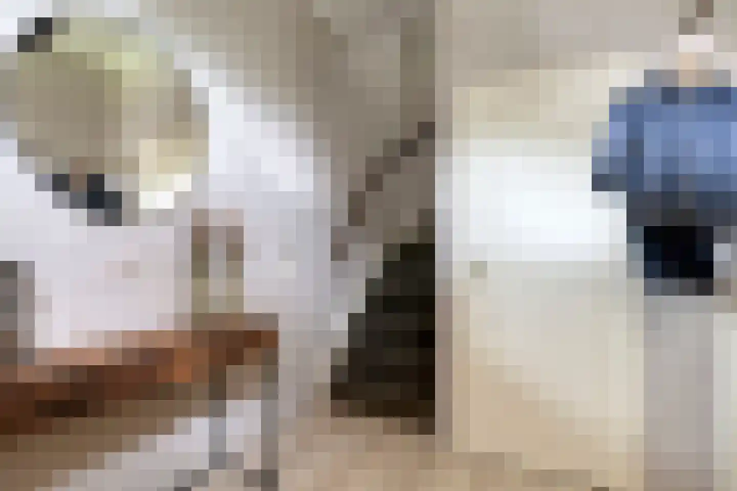 Postelplein 8 Oost West en Middelbeers thumbnail 9