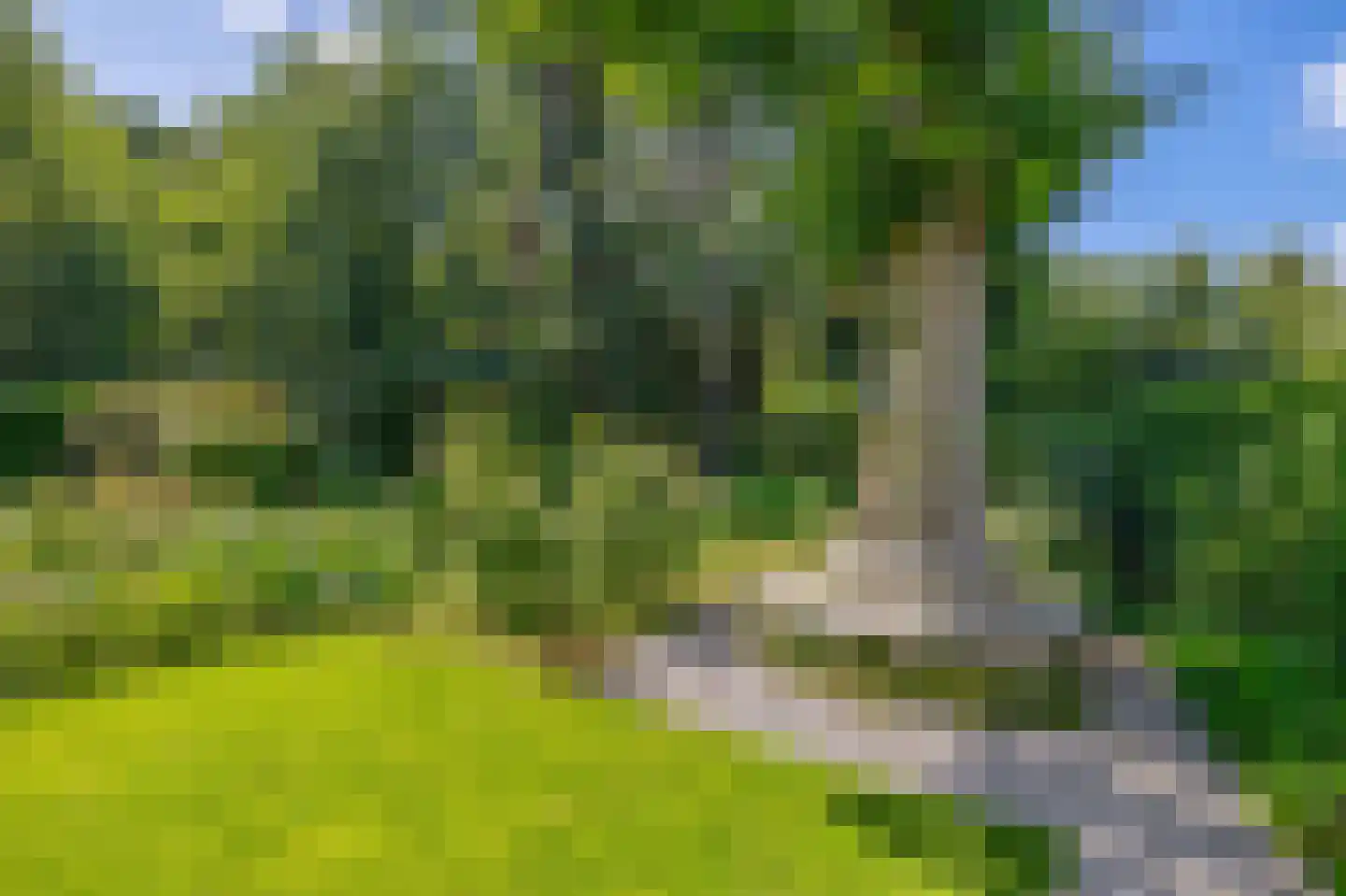 Postels Huufke 16 Vessem thumbnail 54