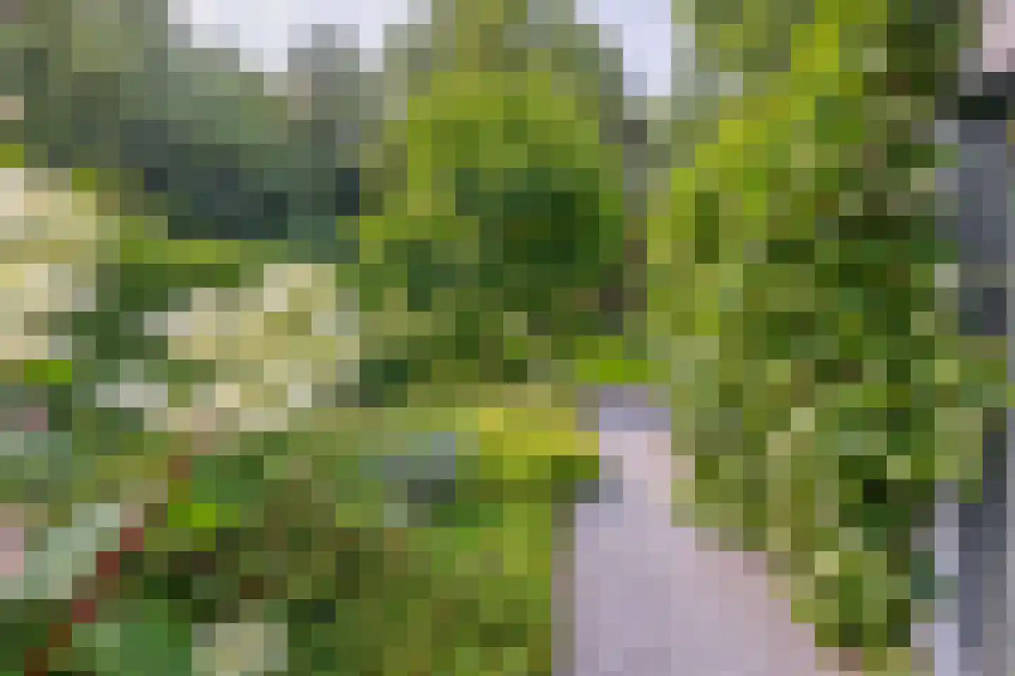 Postels Huufke 16 Vessem thumbnail 64