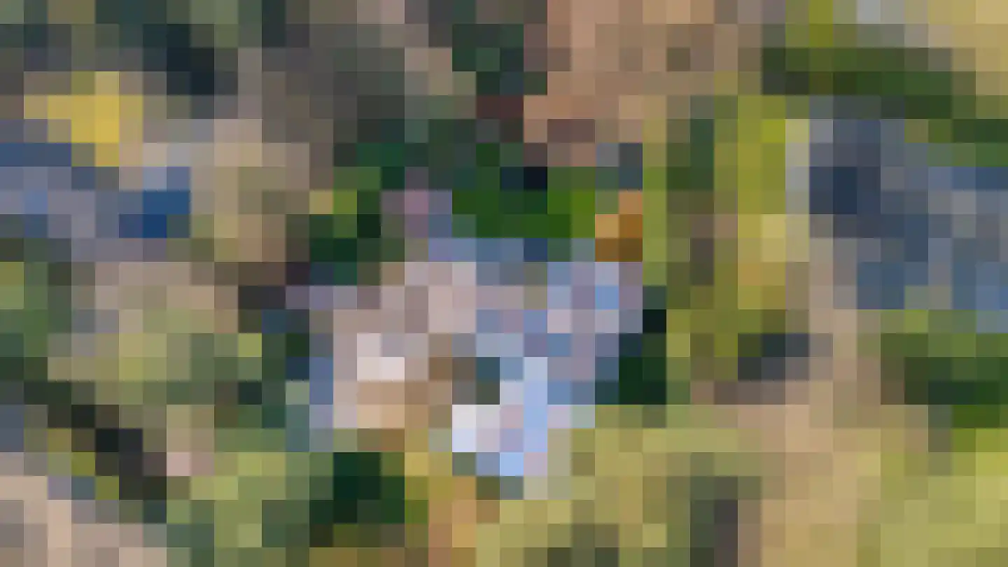 Postels Huufke 16 Vessem thumbnail 66