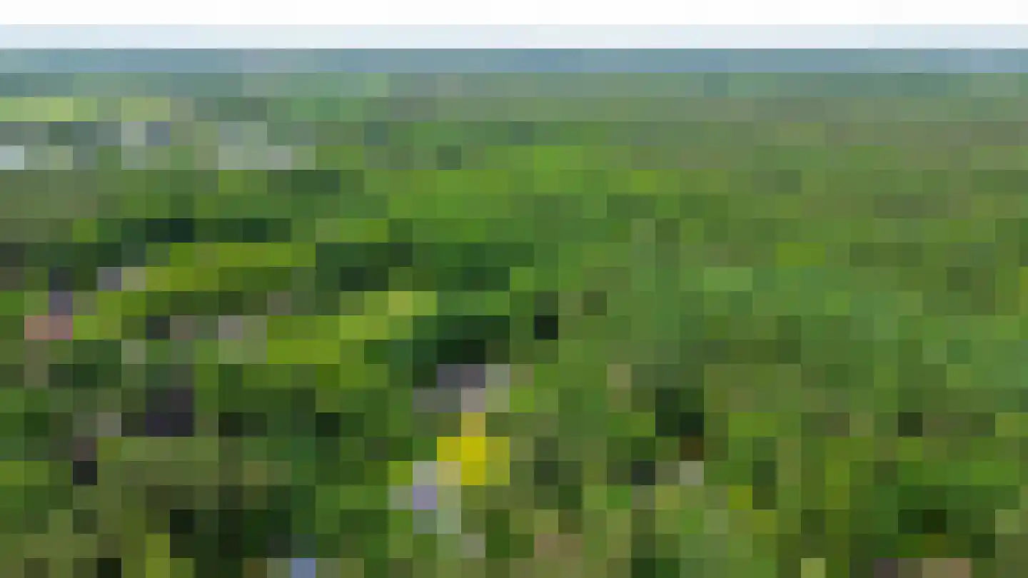 Postels Huufke 16 Vessem thumbnail 67