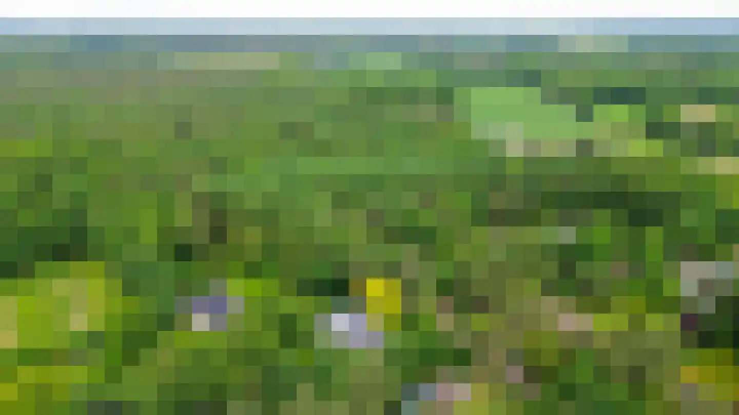 Postels Huufke 16 Vessem thumbnail 68