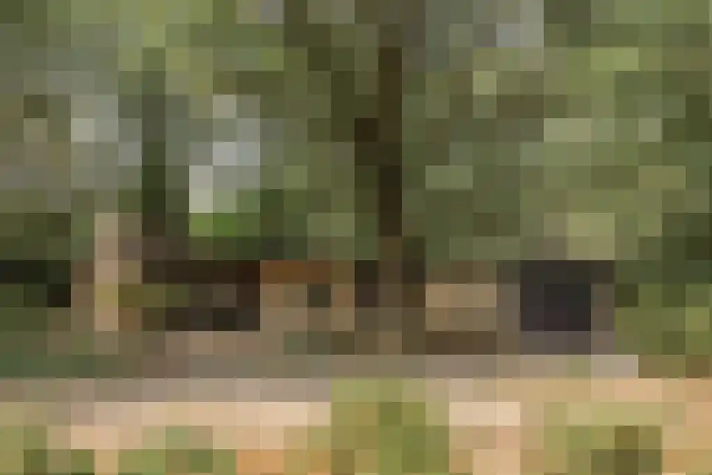 Postels Huufke 6 Vessem foto 2