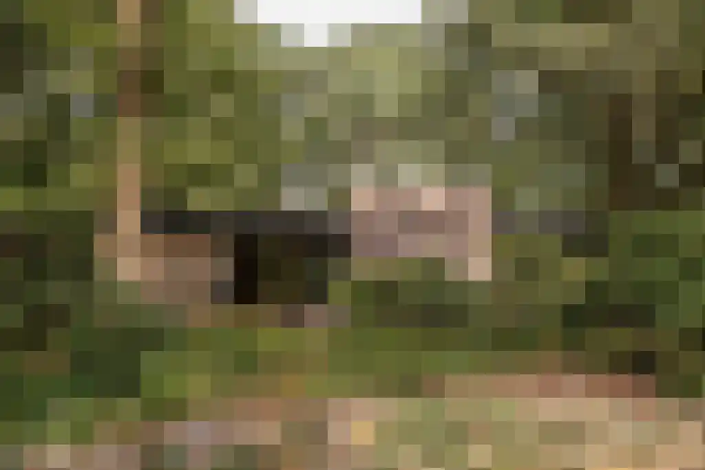 Postels Huufke 6 Vessem foto 3