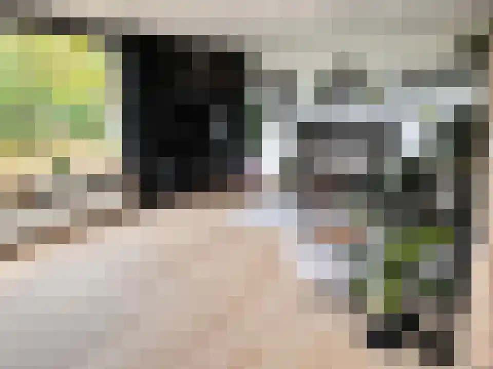 Postels Huufke 6 Vessem thumbnail 5