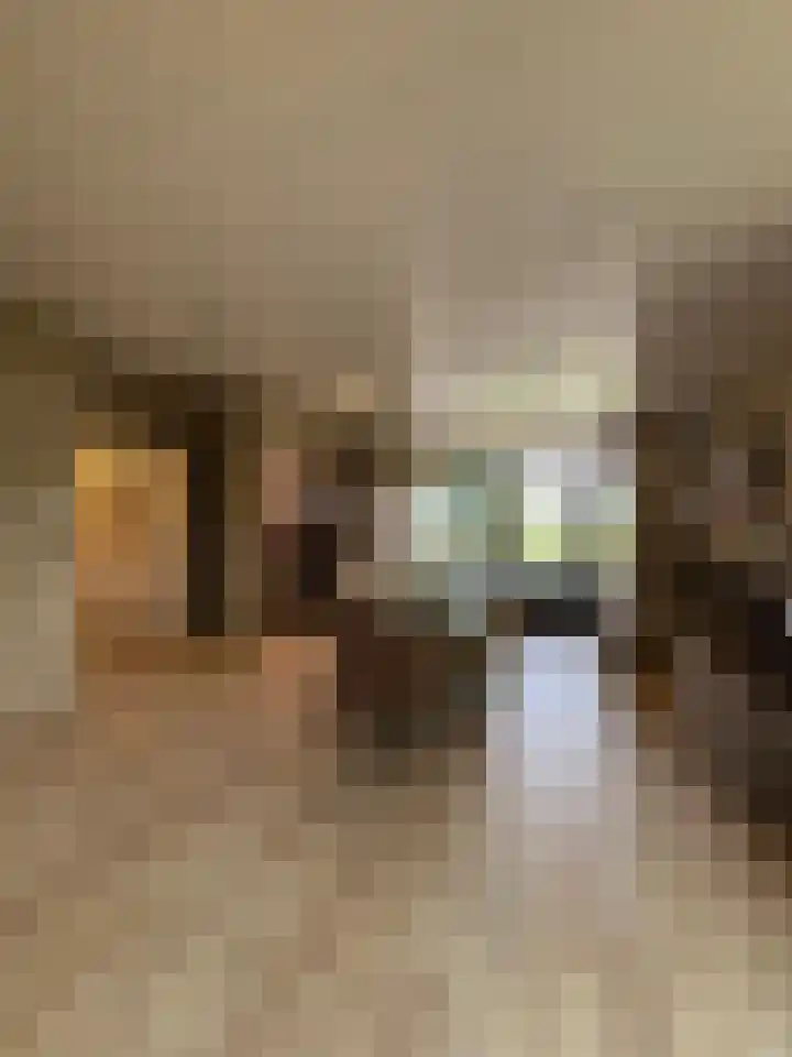 Postels Huufke 6 Vessem thumbnail 6