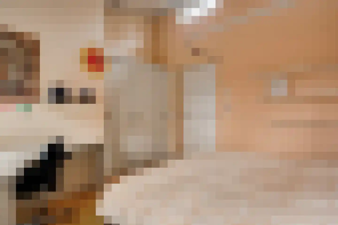 Postelscheheideweg 2 Luyksgestel thumbnail 20