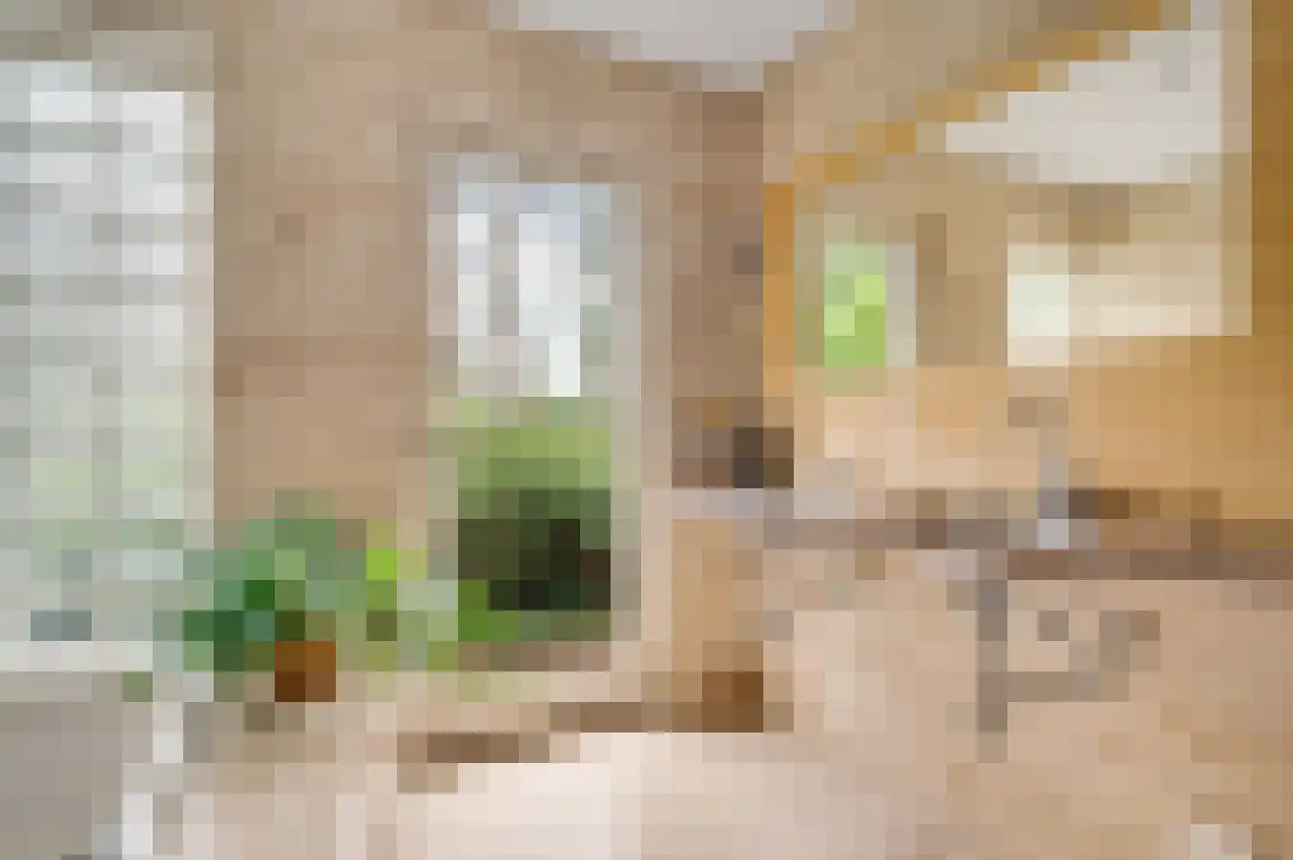 Postelscheheideweg 2 Luyksgestel thumbnail 21