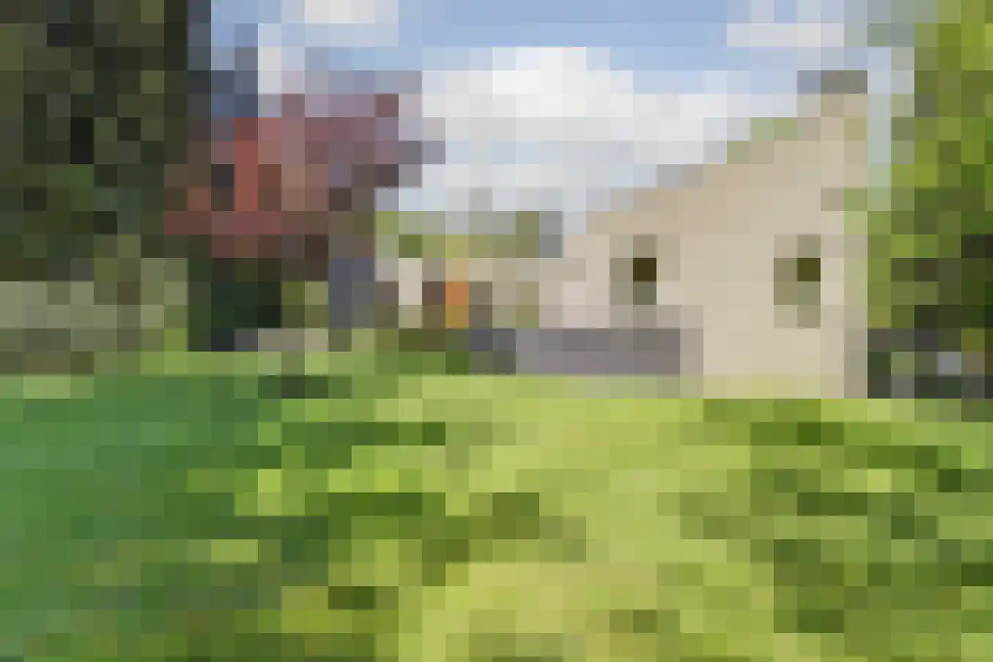 Postelscheheideweg 2 Luyksgestel thumbnail 34