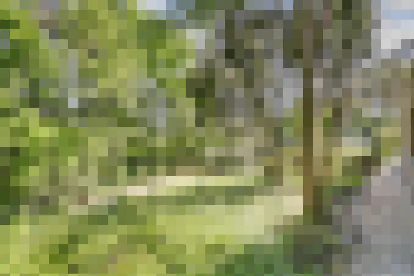 Postelscheheideweg 2 Luyksgestel thumbnail 35