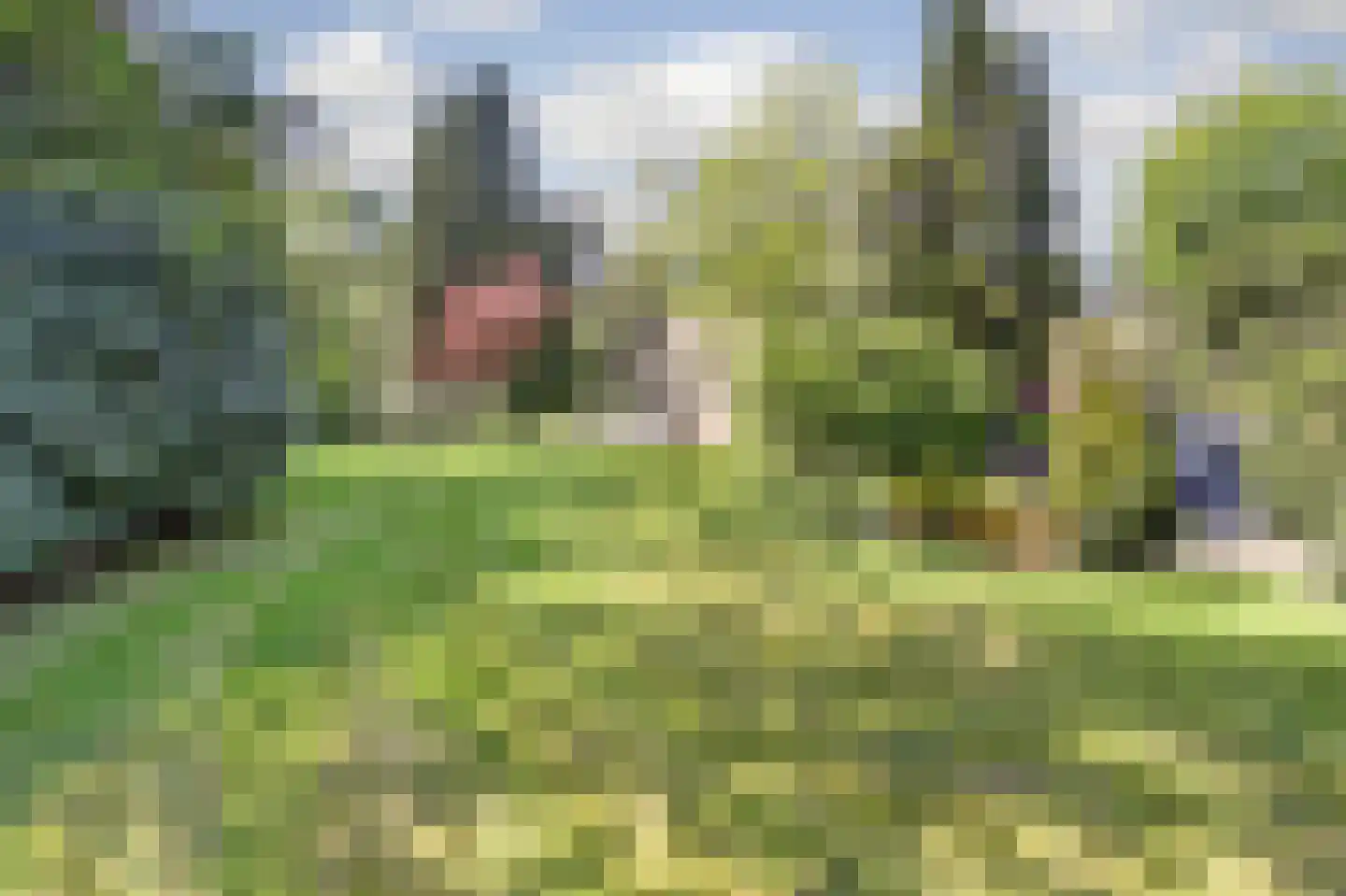 Postelscheheideweg 2 Luyksgestel thumbnail 36