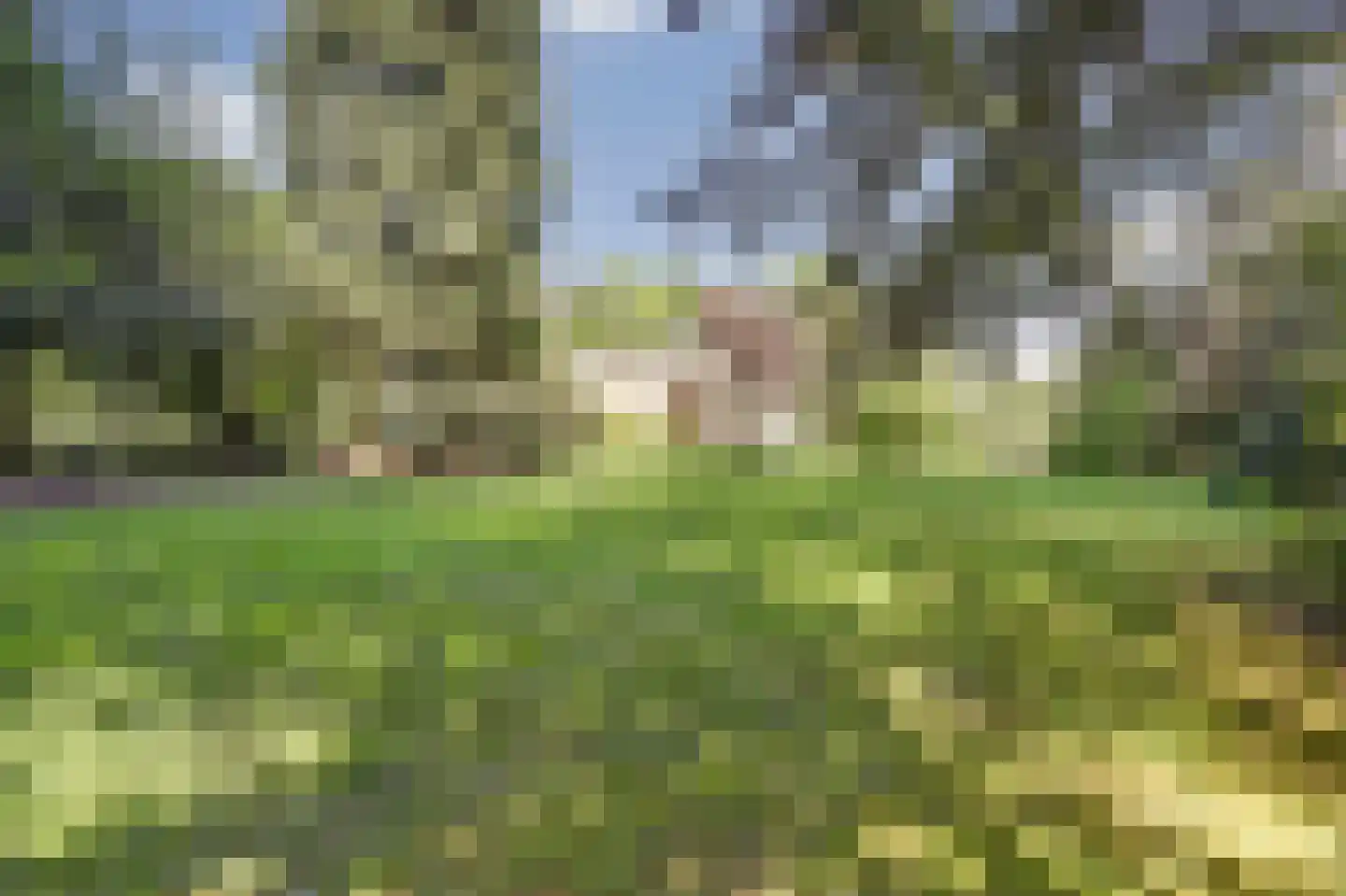 Postelscheheideweg 2 Luyksgestel thumbnail 37