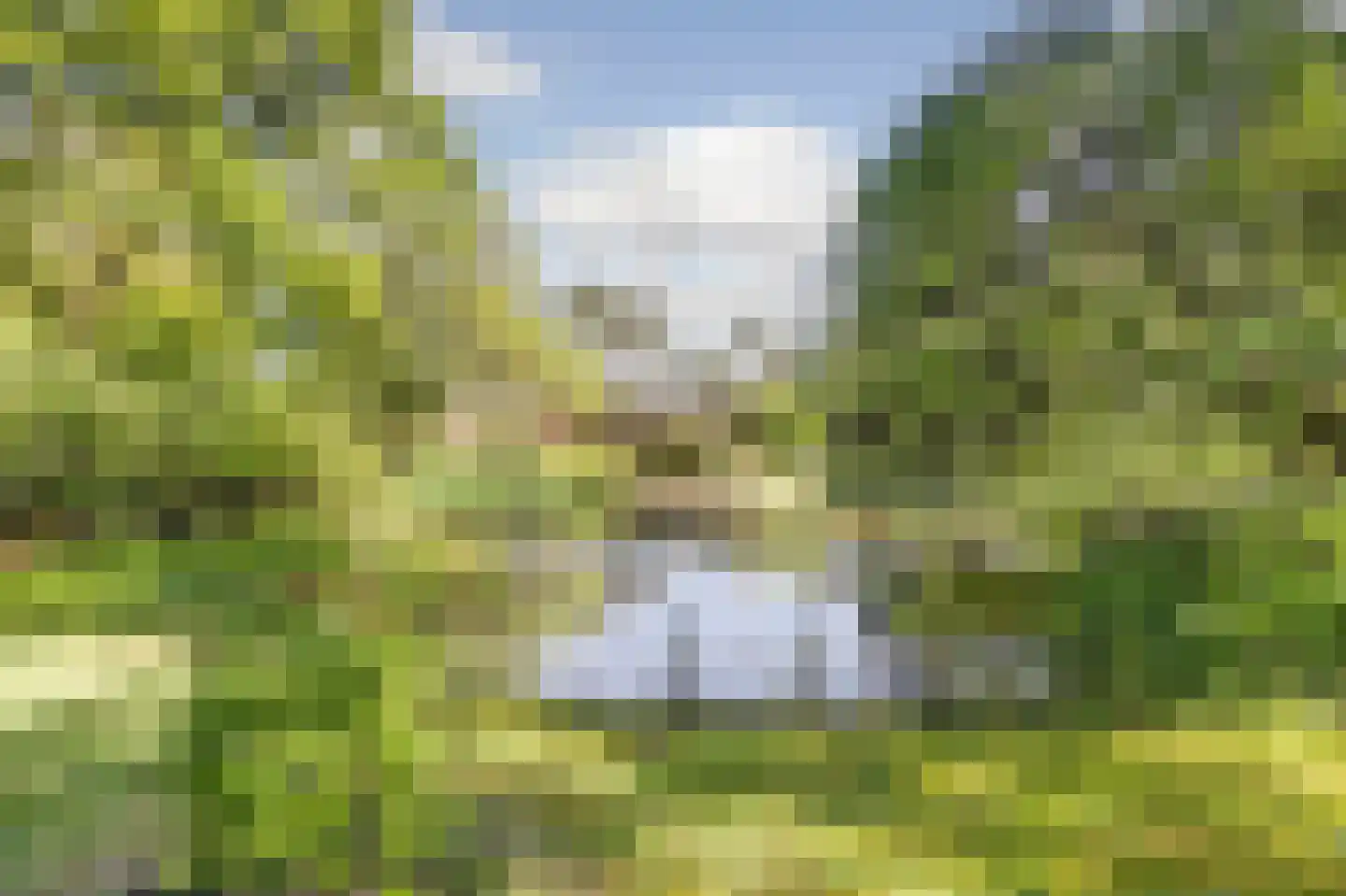 Postelscheheideweg 2 Luyksgestel thumbnail 40