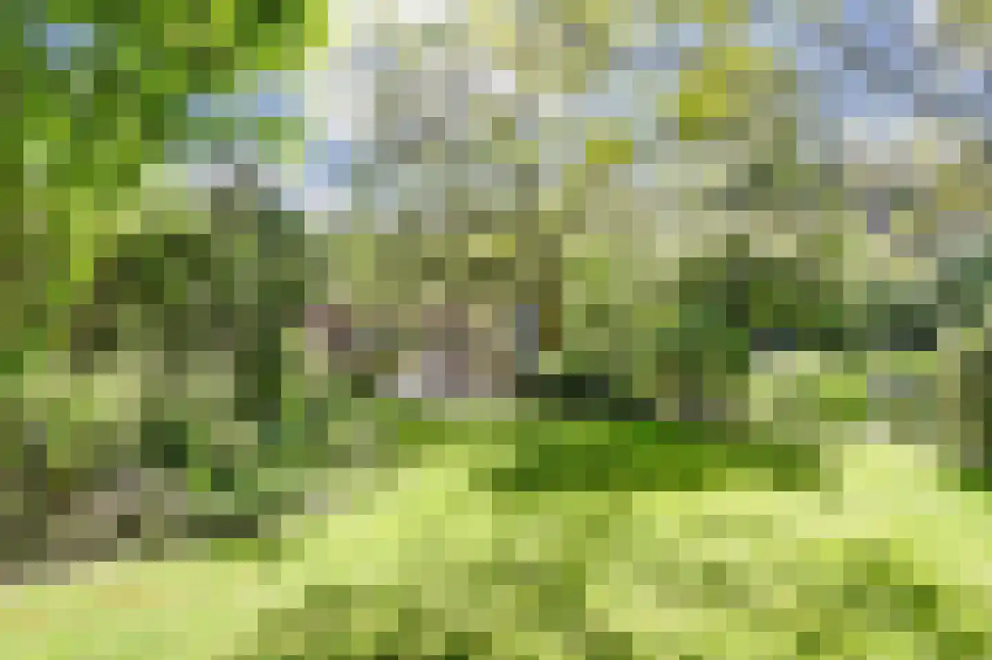Postelscheheideweg 2 Luyksgestel thumbnail 42