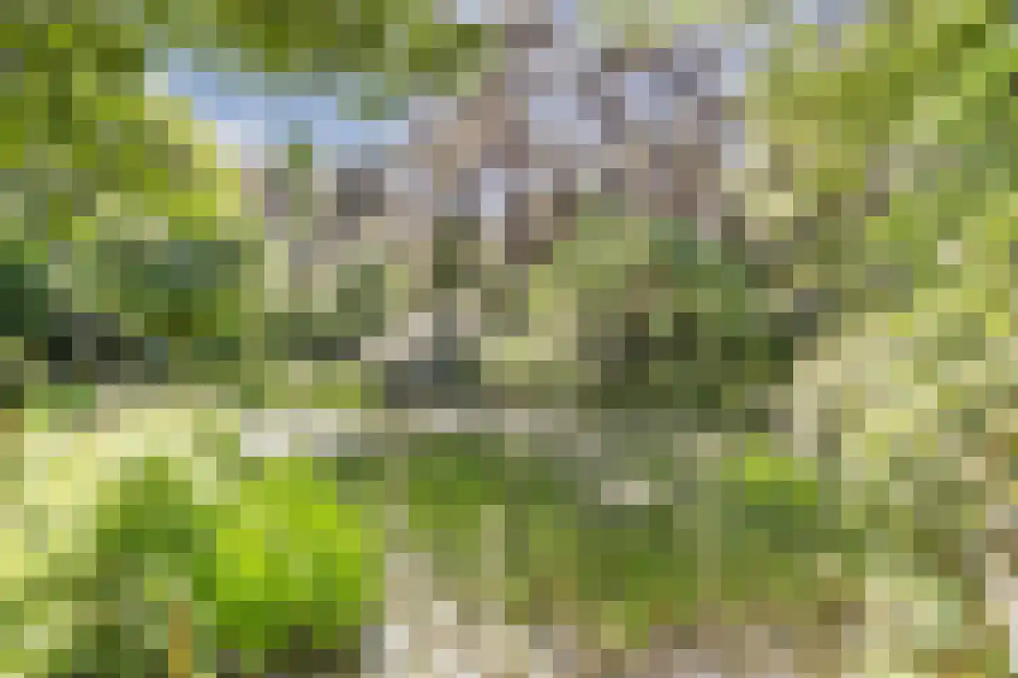 Postelscheheideweg 2 Luyksgestel thumbnail 43