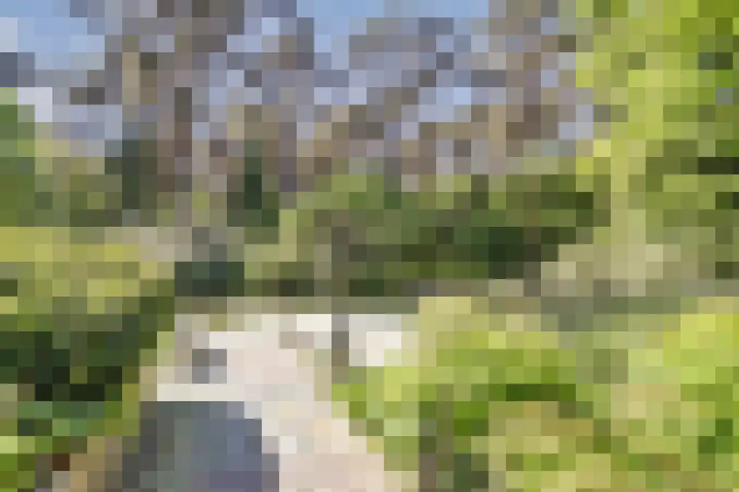 Postelscheheideweg 2 Luyksgestel thumbnail 44