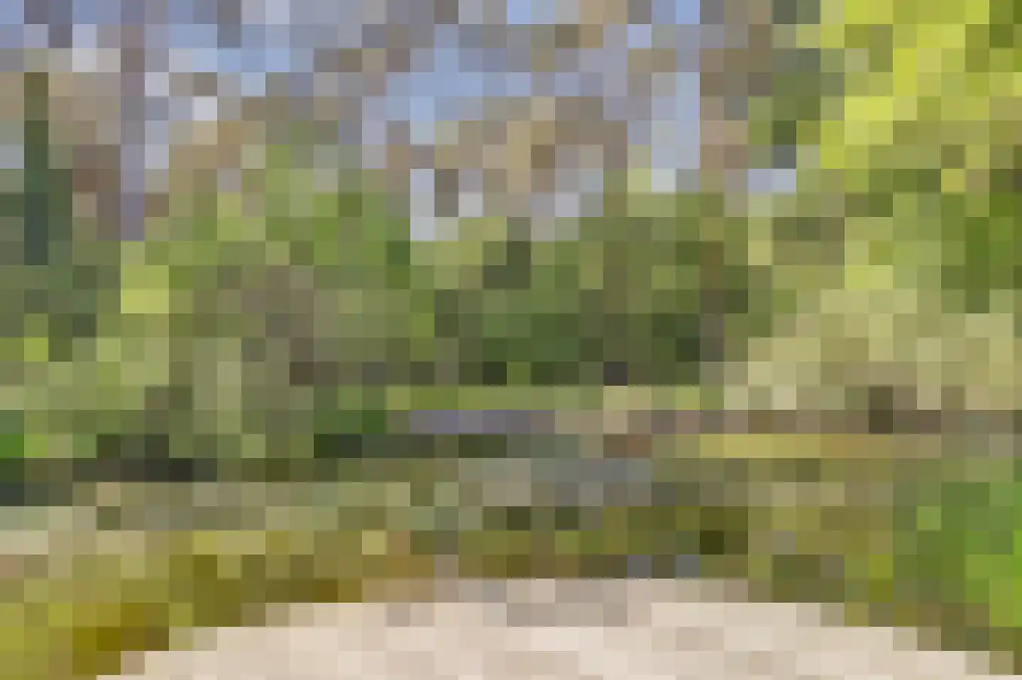 Postelscheheideweg 2 Luyksgestel thumbnail 45