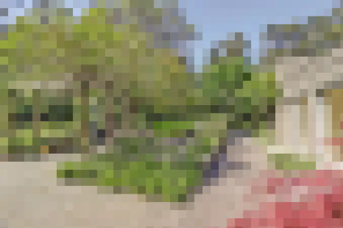 Postelscheheideweg 2 Luyksgestel thumbnail 46