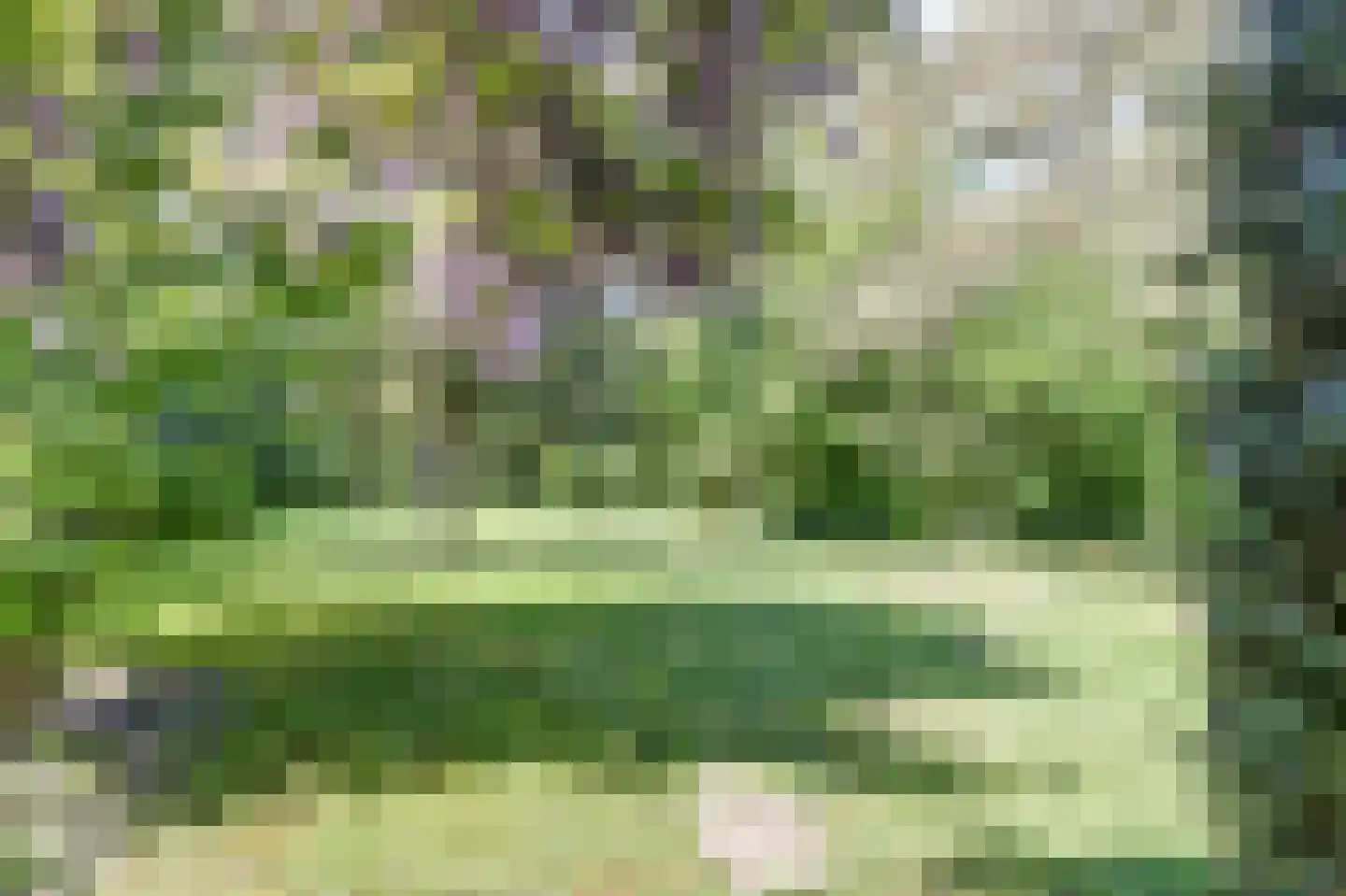 Postelscheheideweg 2 Luyksgestel thumbnail 48