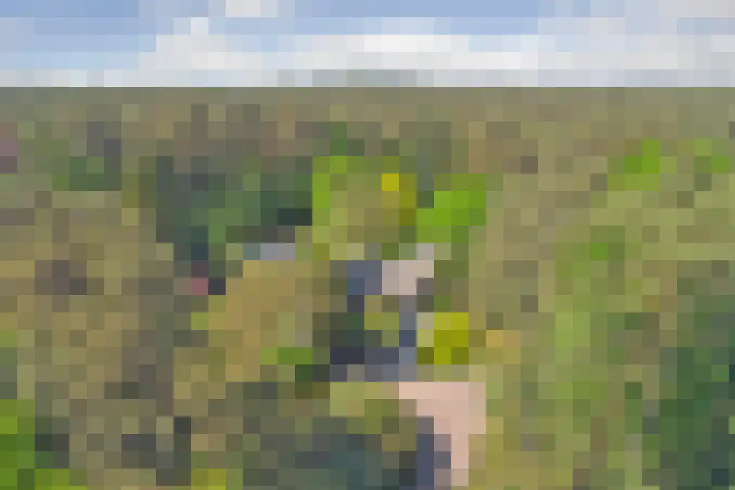 Postelscheheideweg 2 Luyksgestel thumbnail 49