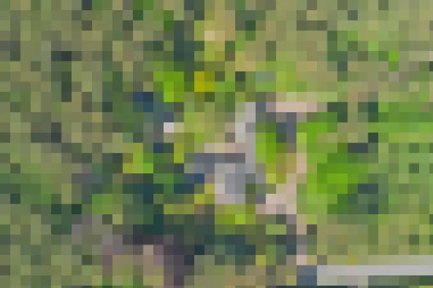 Postelscheheideweg 2 Luyksgestel thumbnail 50