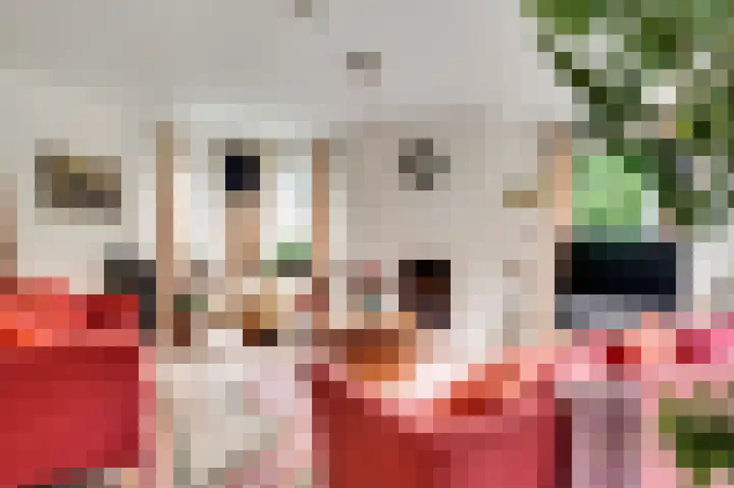 Postelscheheideweg 2 Luyksgestel thumbnail 6