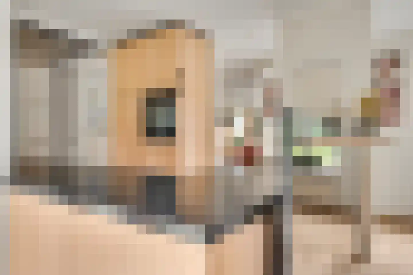 Postelscheheideweg 2 Luyksgestel thumbnail 8