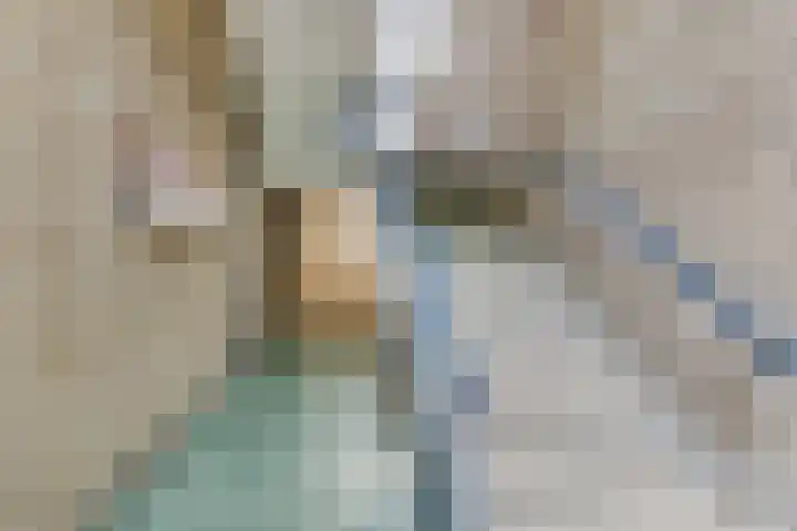 Postelse Hoeflaan 101 Tilburg thumbnail 28