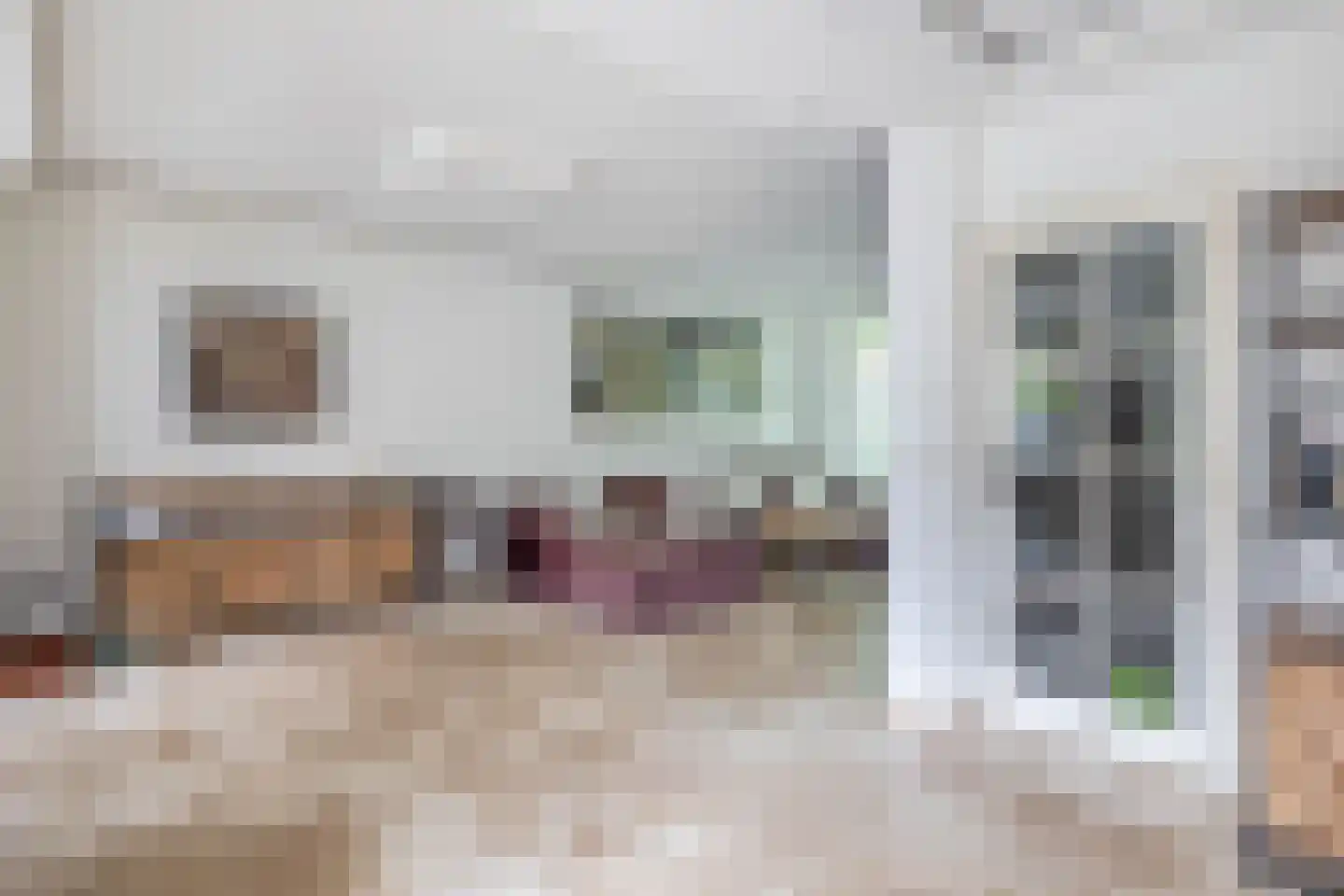 Postelse Hoeflaan 106 Tilburg thumbnail 4