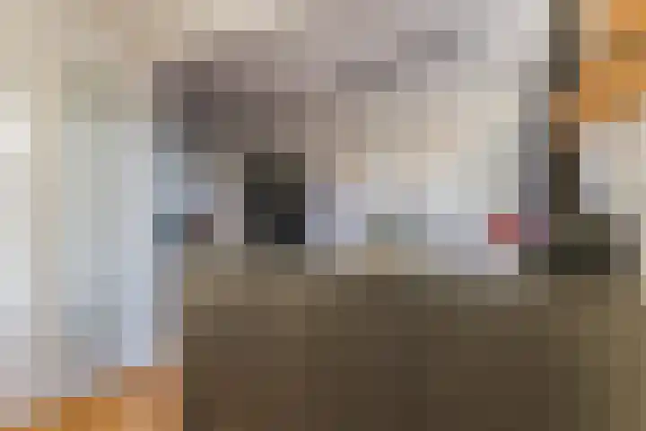 Postelse Hoeflaan 157 Tilburg thumbnail 10