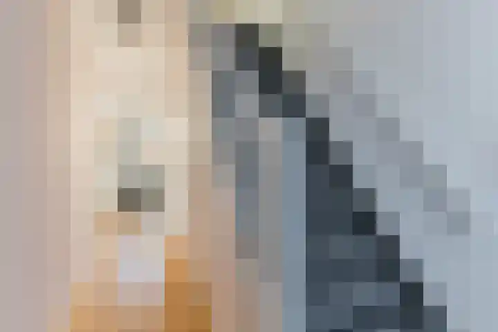 Postelse Hoeflaan 157 Tilburg thumbnail 17