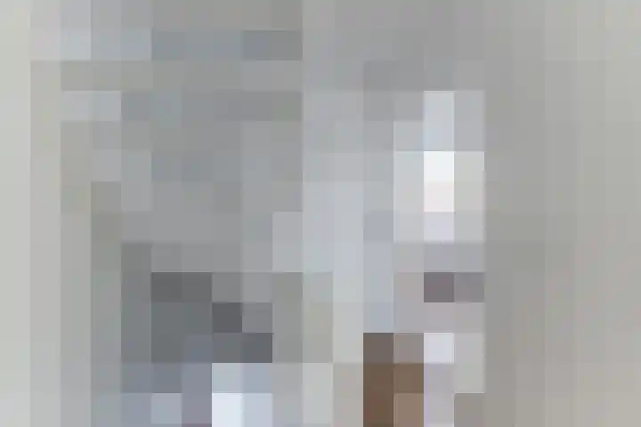 Postelse Hoeflaan 157 Tilburg thumbnail 18