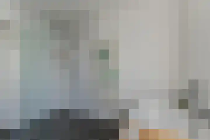 Postelse Hoeflaan 157 Tilburg thumbnail 26