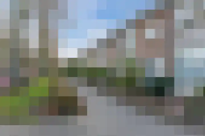 Postelse Hoeflaan 157 Tilburg thumbnail 38