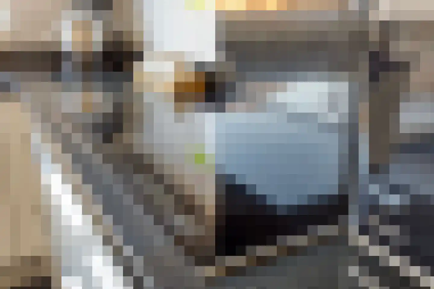 Postelse Hoeflaan 183 Tilburg thumbnail 15