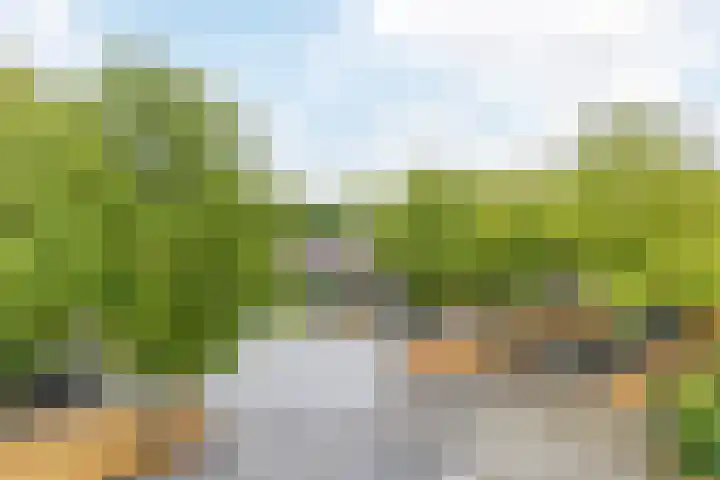 Postelse Hoeflaan 184 Tilburg thumbnail 25