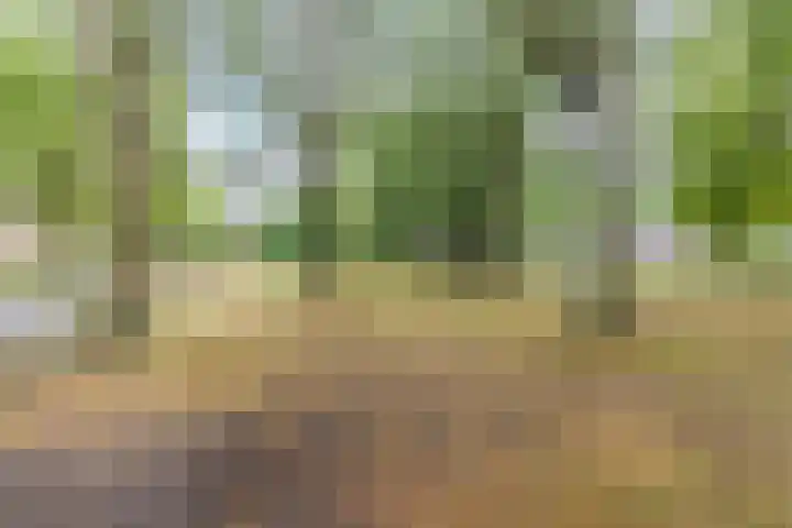 Postelse Hoeflaan 184 Tilburg thumbnail 28