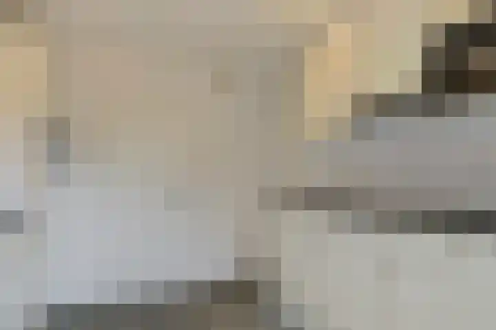 Postelse Hoeflaan 187 Tilburg thumbnail 11