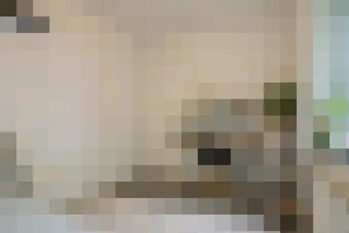 Postelse Hoeflaan 187 Tilburg thumbnail 18
