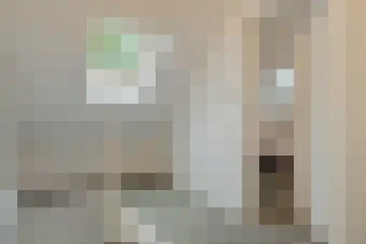 Postelse Hoeflaan 187 Tilburg thumbnail 21