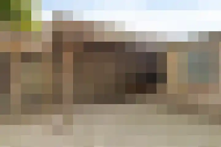 Postelse Hoeflaan 187 Tilburg thumbnail 25