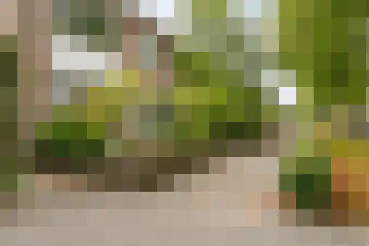 Postelse Hoeflaan 187 Tilburg thumbnail 28