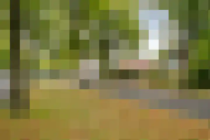 Postelse Hoeflaan 187 Tilburg thumbnail 30
