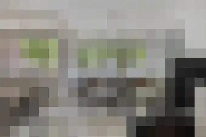 Postelse Hoeflaan 20 b Tilburg thumbnail 4