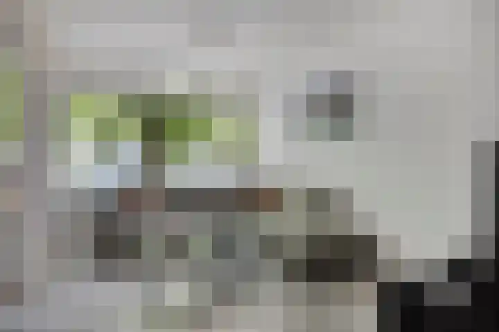 Postelse Hoeflaan 20 b Tilburg thumbnail 6