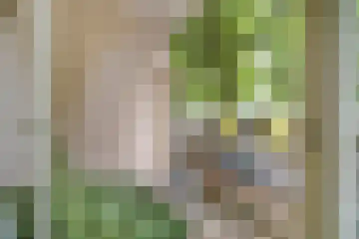 Postelse Hoeflaan 20 b Tilburg thumbnail 8