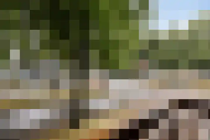 Postelse Hoeflaan 20 b Tilburg thumbnail 9
