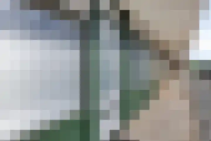 Postelse Hoeflaan 240 Tilburg thumbnail 19