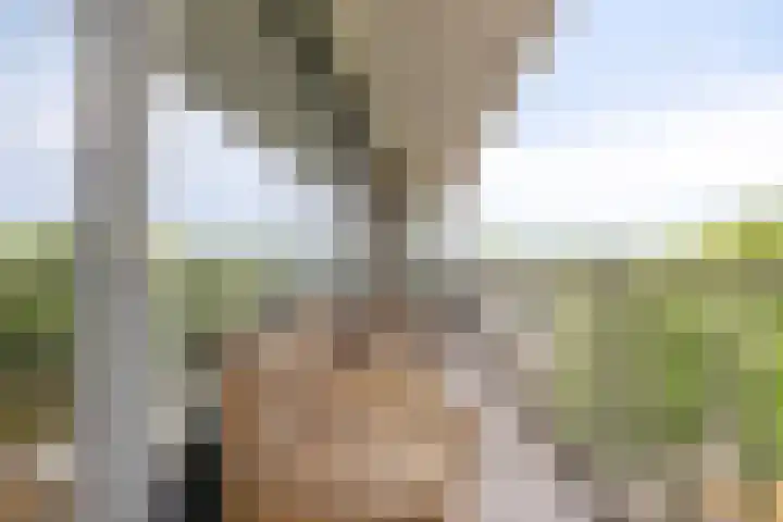 Postelse Hoeflaan 240 Tilburg thumbnail 20