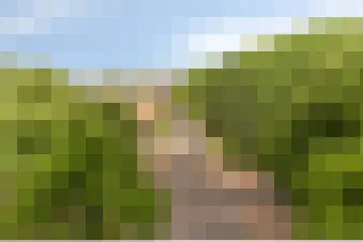 Postelse Hoeflaan 240 Tilburg thumbnail 22